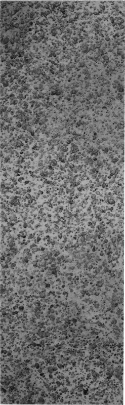 Насадка змінна до швабри KORNEL HY 0097 30 см (HY 0096)